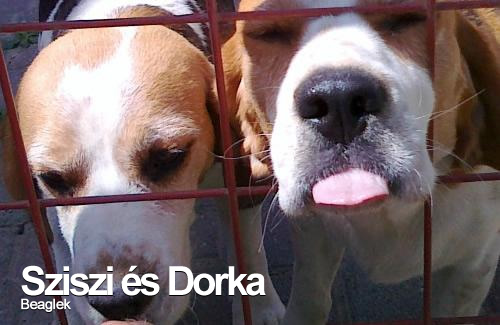 Sziszi és Dorka