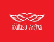 Angyali Segítőszolgálat Főállású Angyal logo
